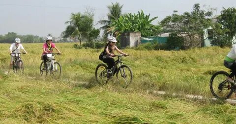 Video ngắn – Giải pháp truyền thông thông minh cho doanh nghiệp nhỏ_video ngắn trên TikTok