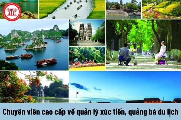 Hotspot Matrix và 4 kiểu áo sơ mi dìm dáng, xỉn da, điểm thanh lịch lao dốc thảm hại_Phân phối video đa kênh