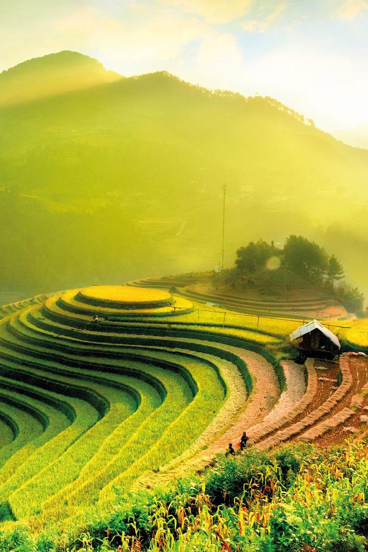 Từ Ông bà dặn: 