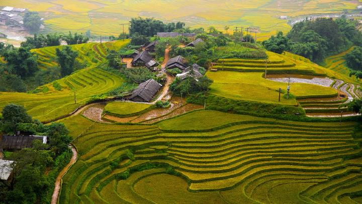 Hotspot Matrix: Văn hóa & Môi trường Làm Việc Tích Cực