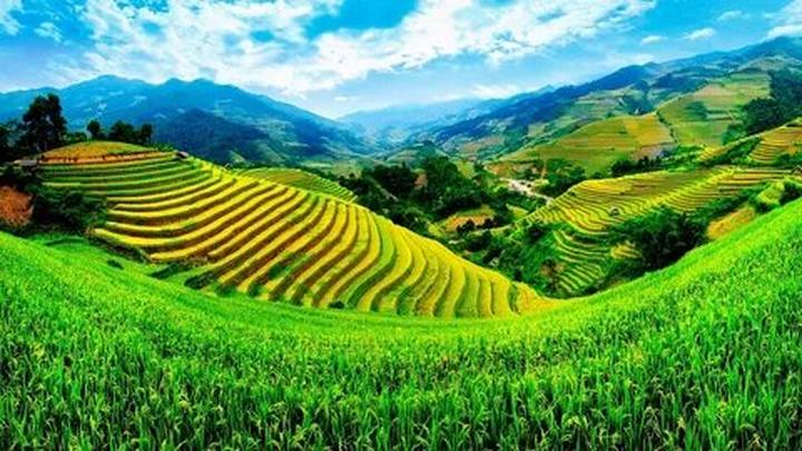 Cô giáo mầm non và hành trình 